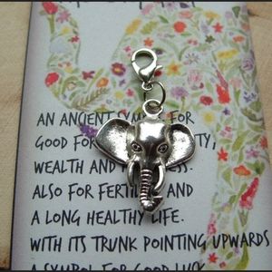 Clip On elephant charm ganesh Krishna Hindu charms bracelet charms